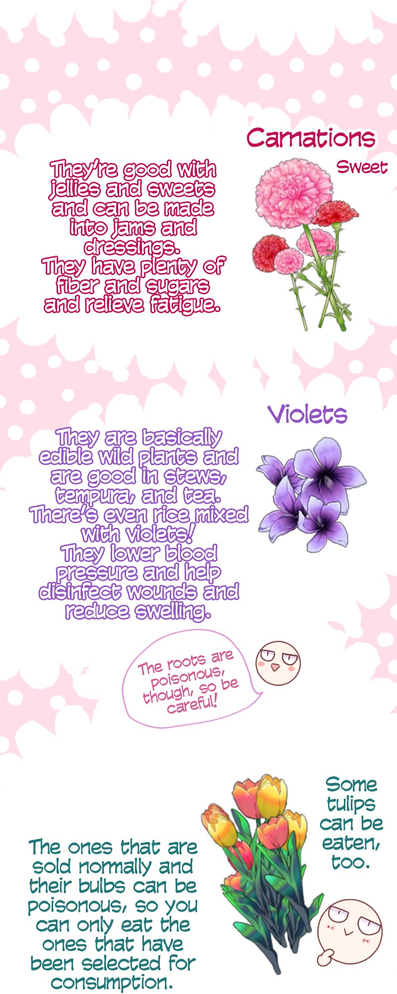 60362218 800 2000 276523